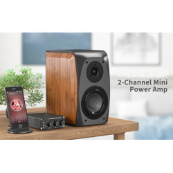 MAV Amp Stereo 100 Watt